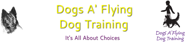 Dogs A' Flying Dog Training